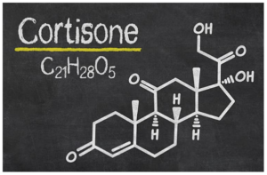 cortisone