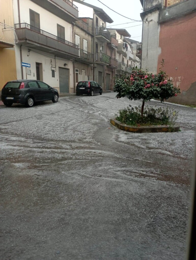 grandine melicucco