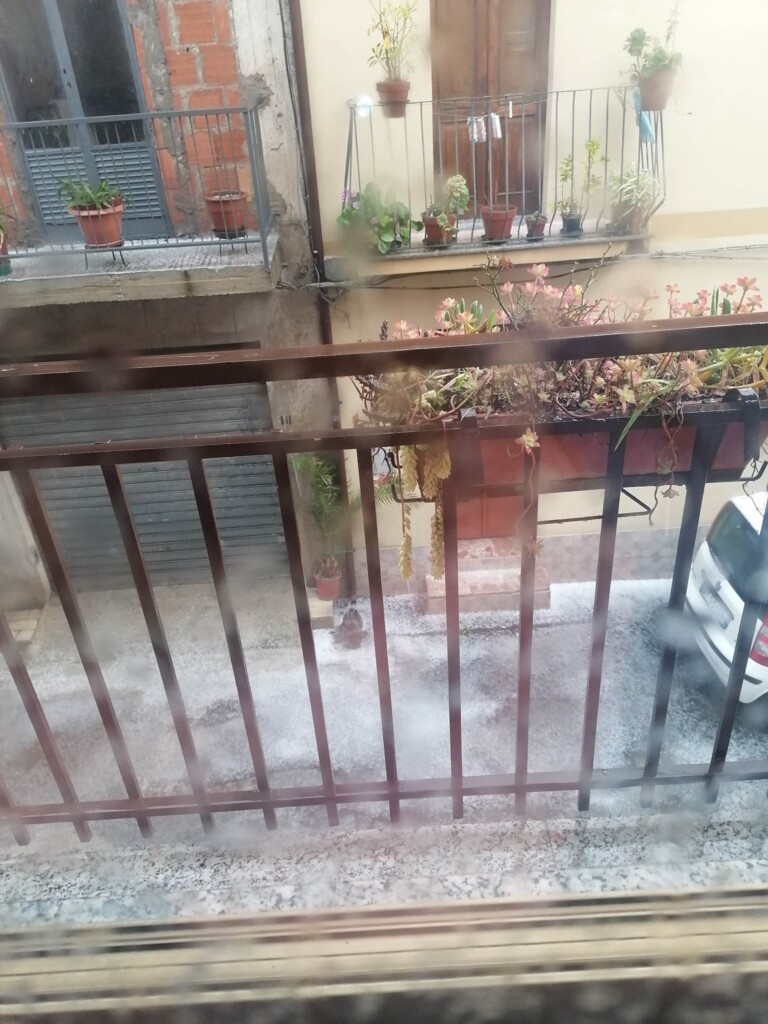 grandine melicucco