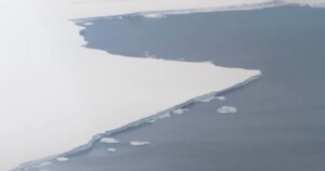 iceberg A81