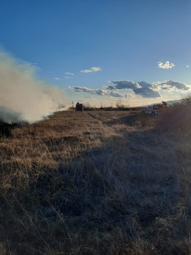 incendio dandolo