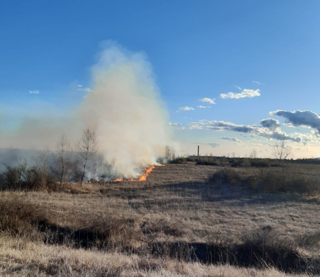 incendio dandolo
