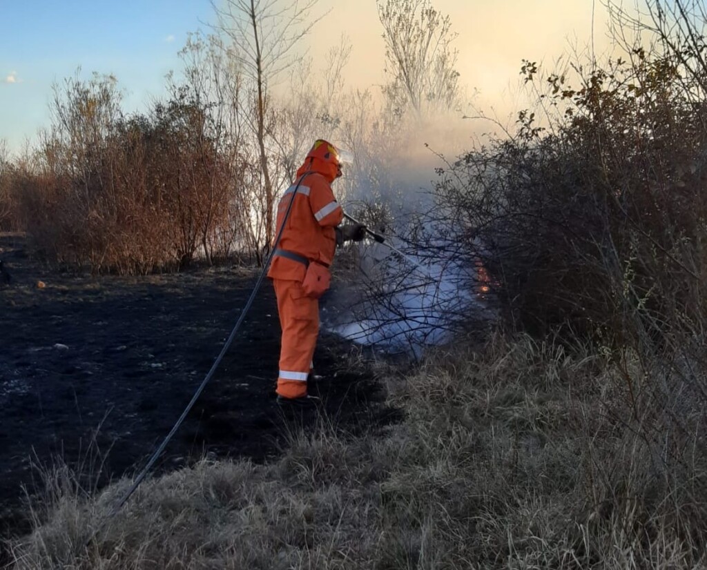incendio dandolo