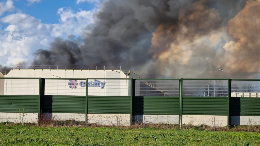 incendio porcari
