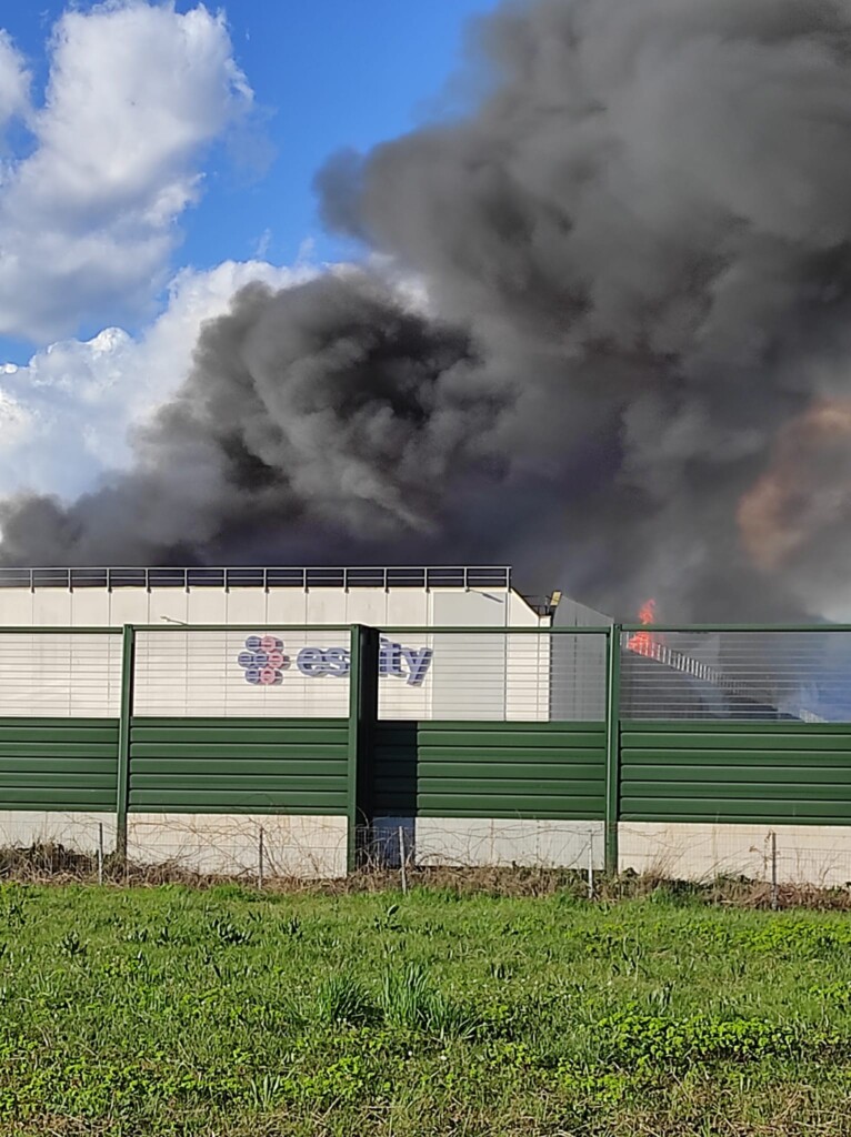incendio porcari