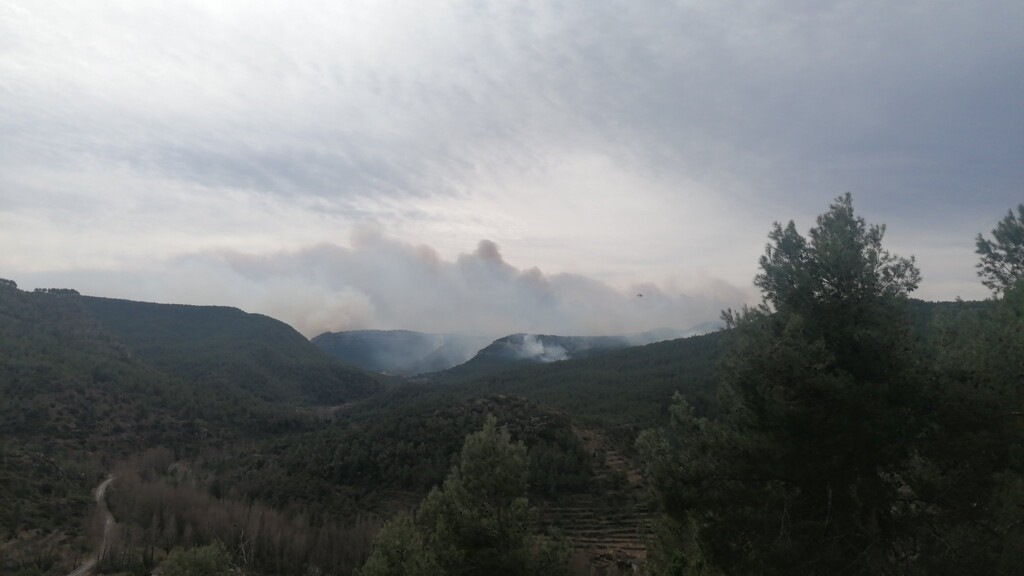incendio spagna
