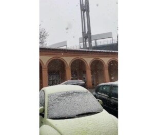 neve bologna