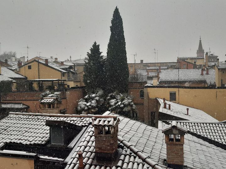 neve bologna