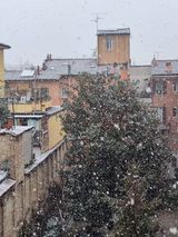 neve bologna