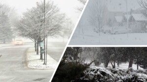 neve midwest usa