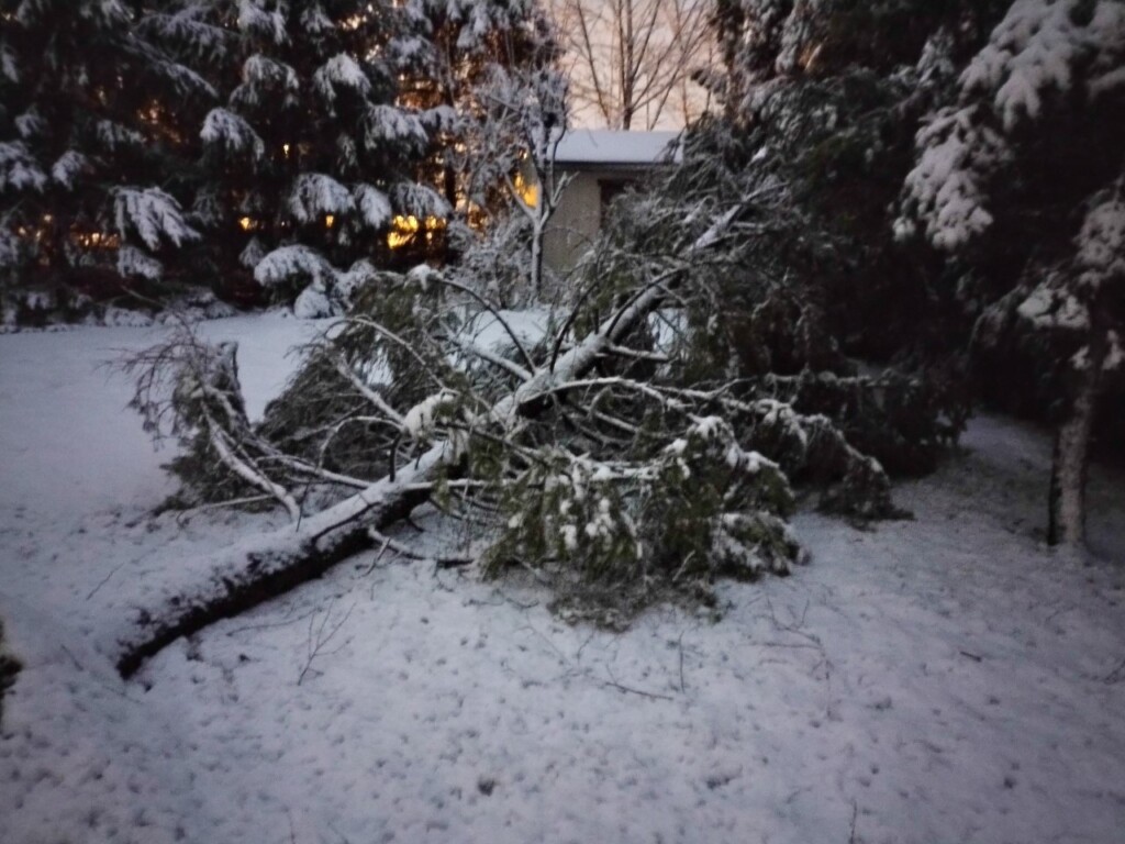 neve usa midwest indiana