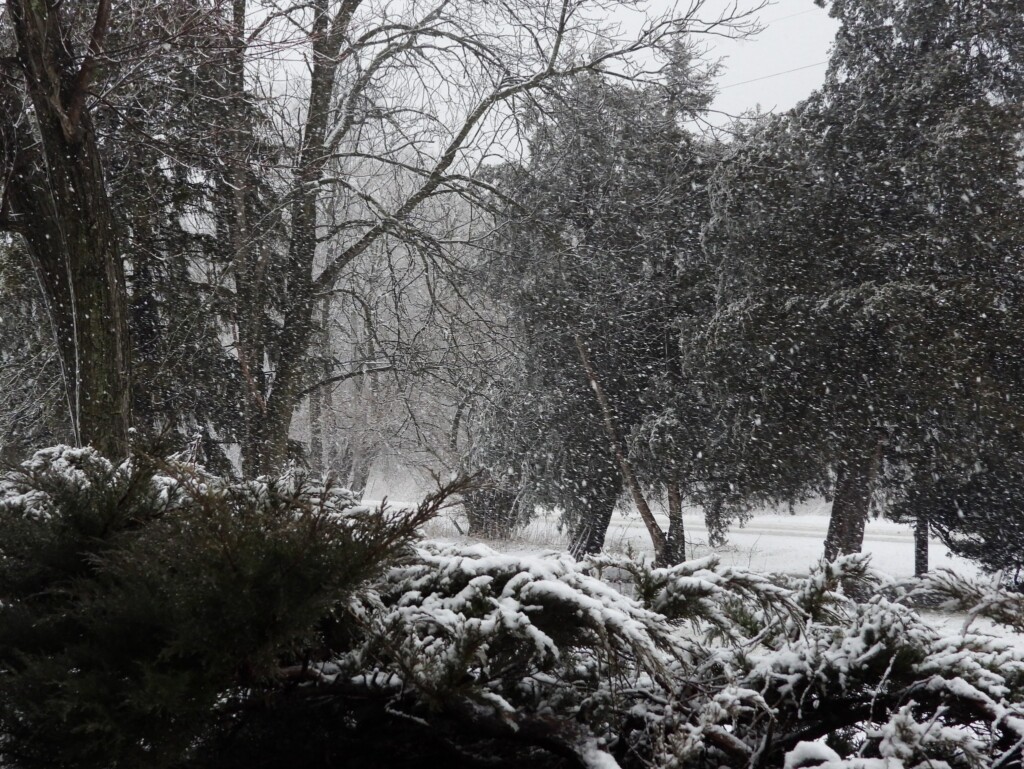 neve usa midwest indiana