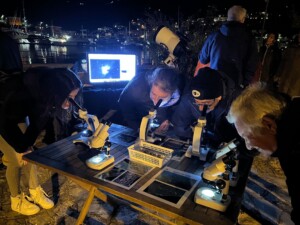 progetto un mare di stelle