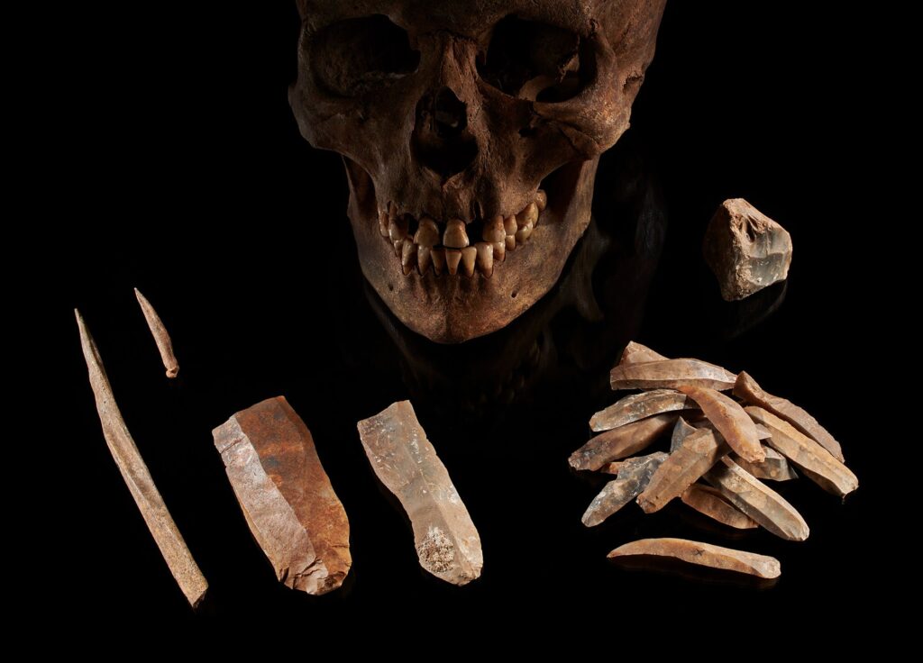 paleologia