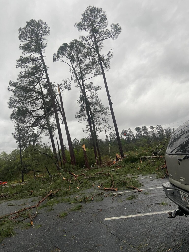 tornado georgia