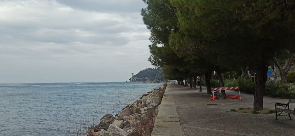 trieste