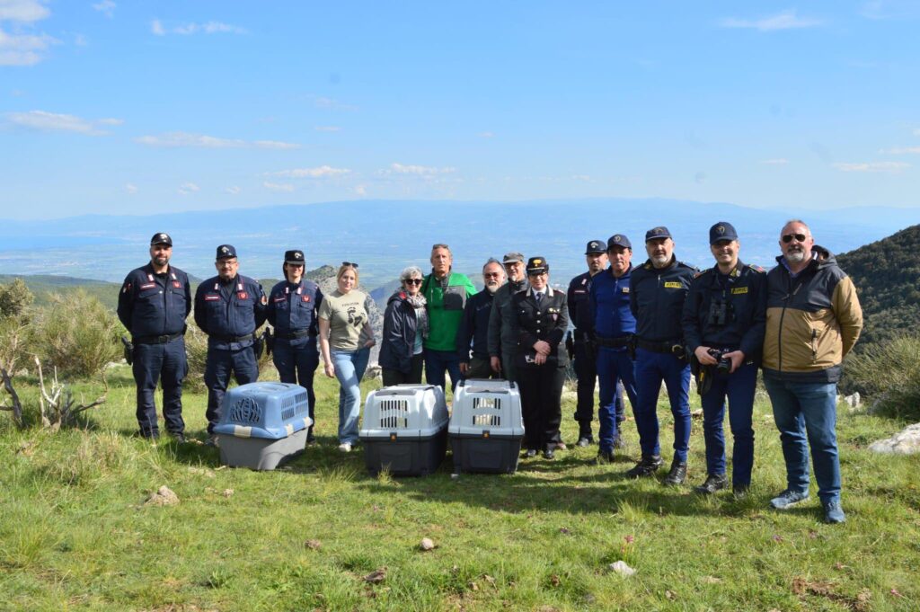 avvoltoi parco pollino