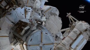 Sultan al Neyadi passeggiata spaziale