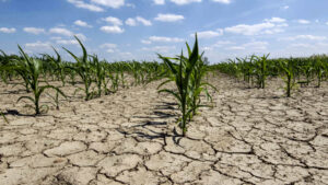 siccità nord est Italia e agricoltura