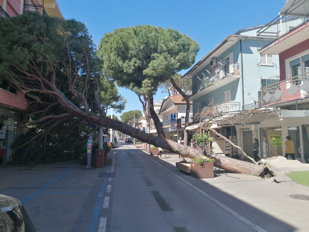 albero abbattuto vento riccione
