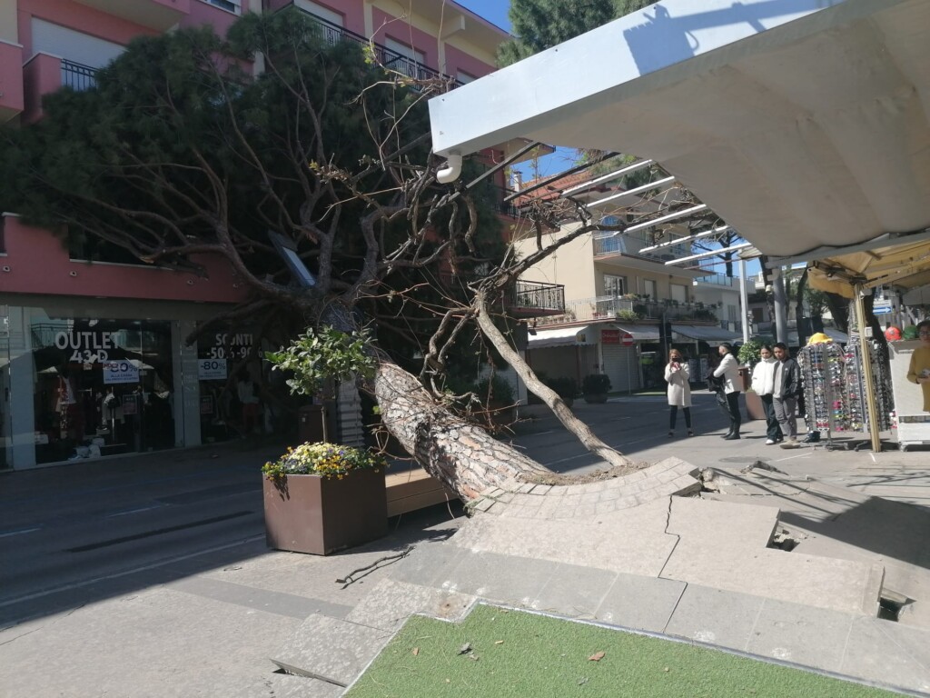 albero abbattuto vento riccione