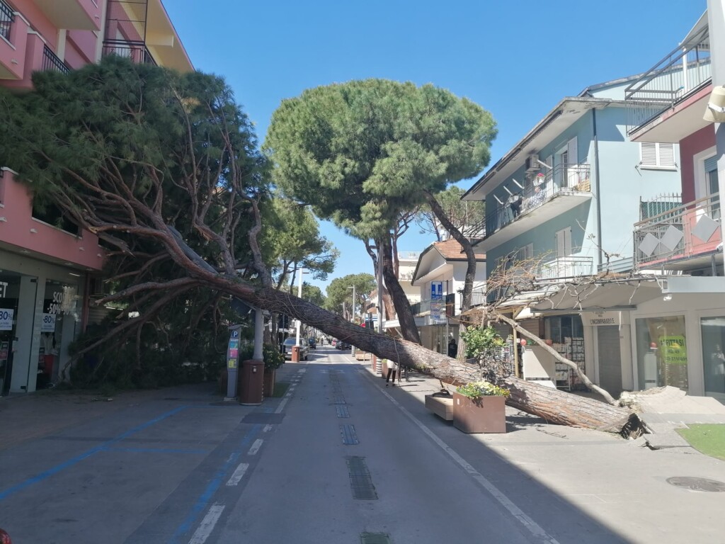 albero abbattuto vento riccione