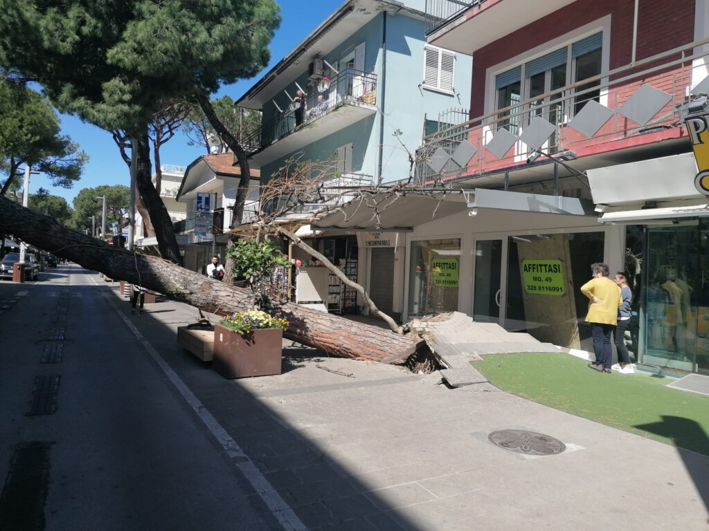 albero abbattuto vento riccione