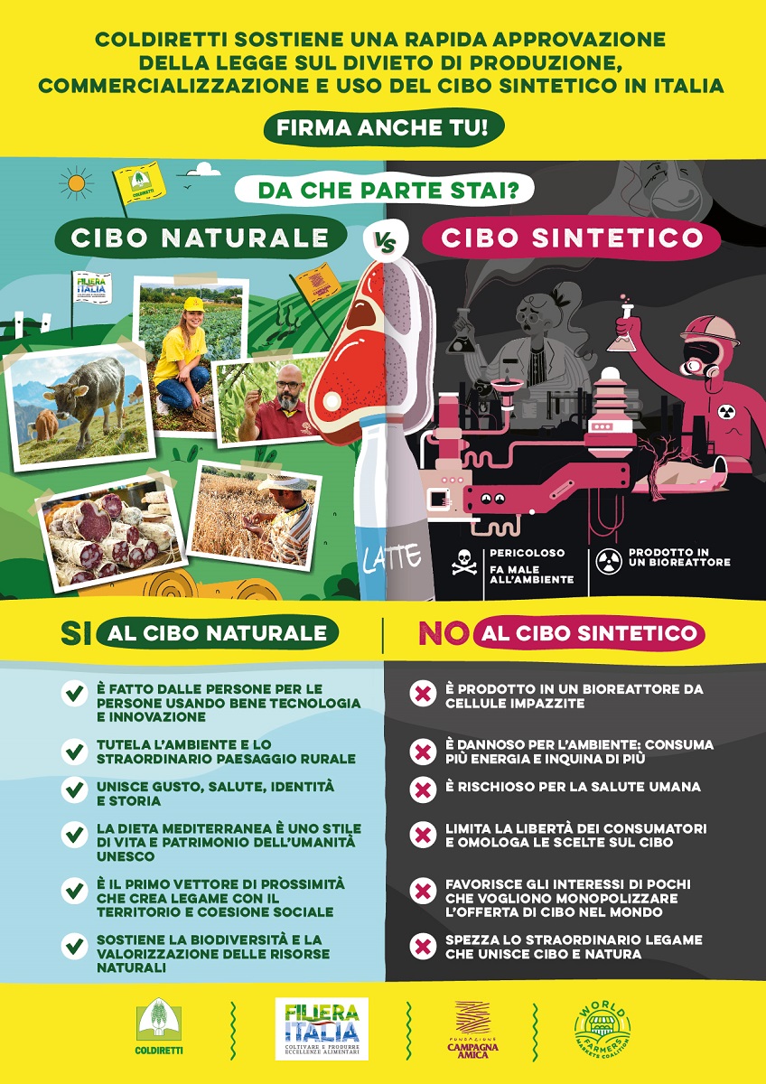 cibo sintetico