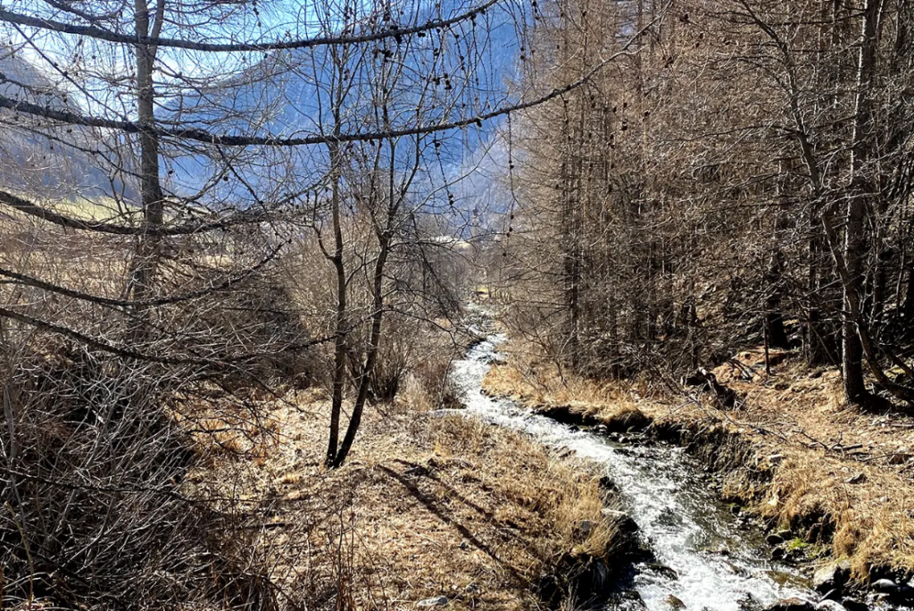 DIGA ALTO ADIGE