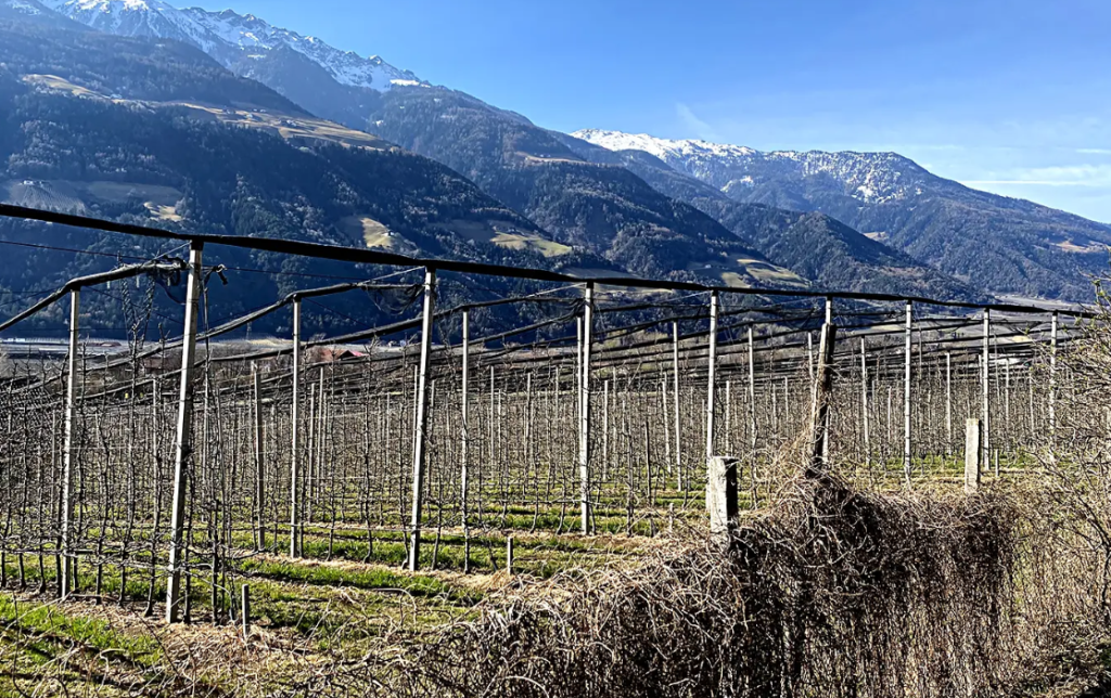 DIGA ALTO ADIGE