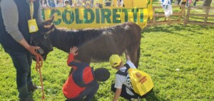 educazione alimentare pet terapy
