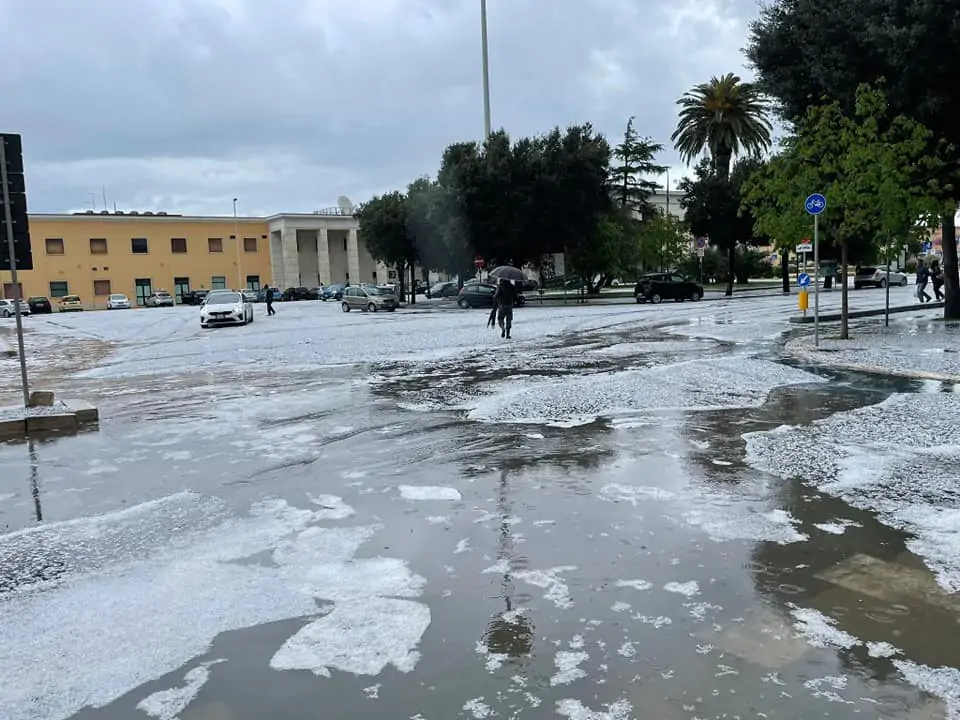 grandine foggia