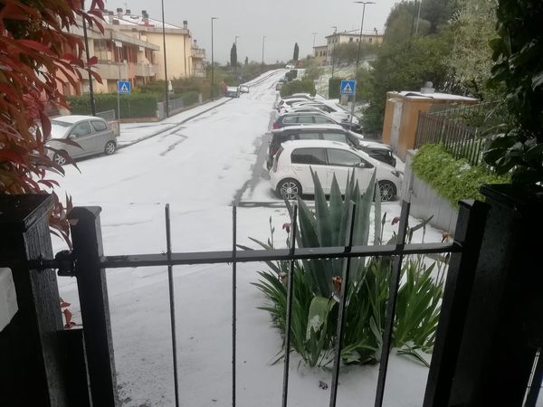 grandine reggello 11