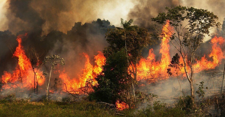 incendi foresta amazzonica