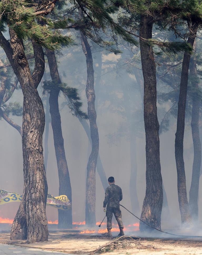 incendio Corea del Sud Gangneung
