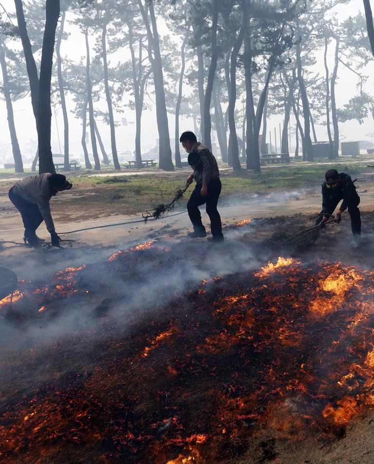 incendio Corea del Sud Gangneung