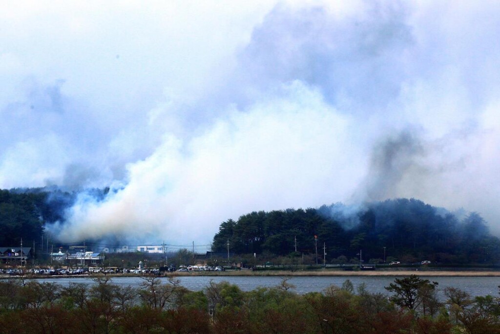 incendio Corea del Sud Gangneung