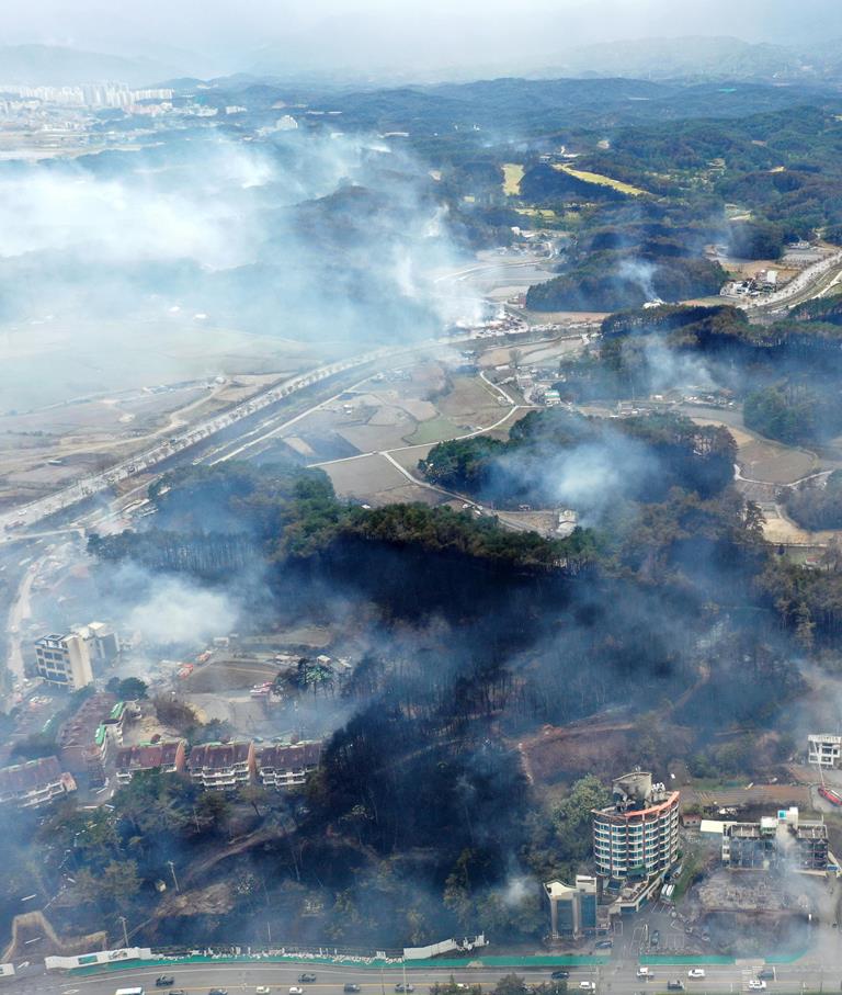 incendio Corea del Sud Gangneung