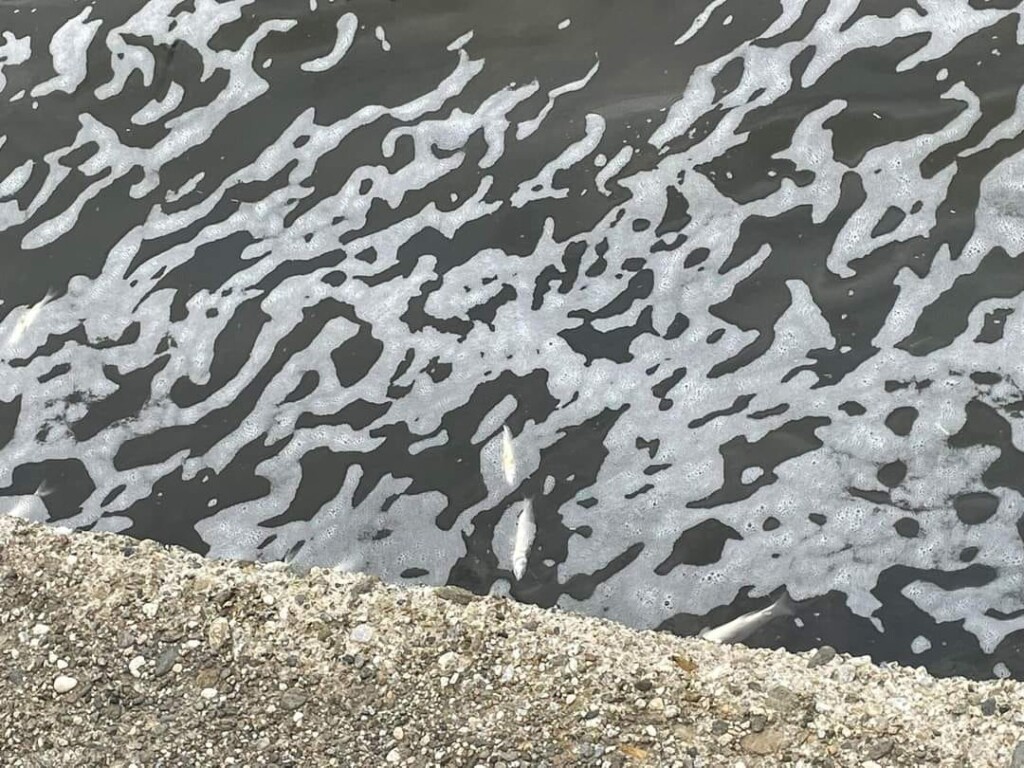 inquinamento laghi ganzirri
