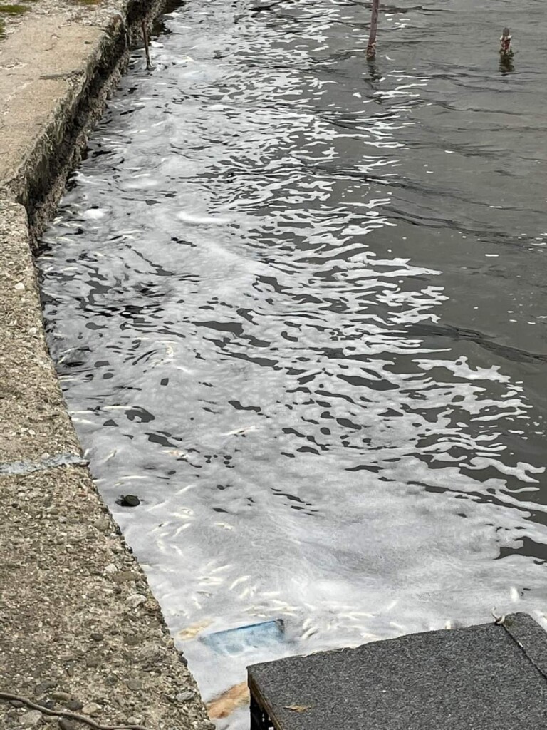 inquinamento laghi ganzirri