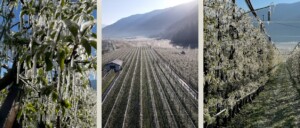 paesaggi ghiacciati alto adige
