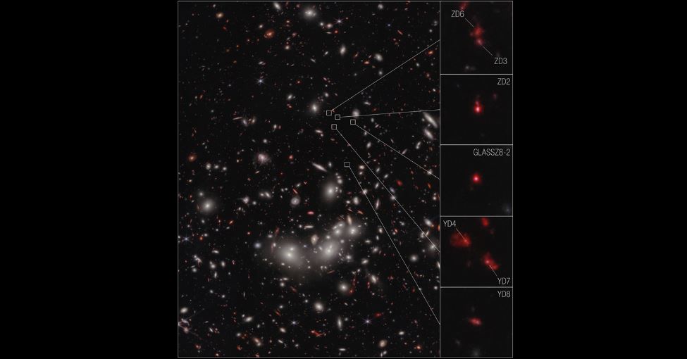 protoammasso di galassie webb