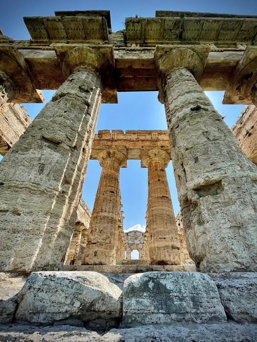 scoperte paestum