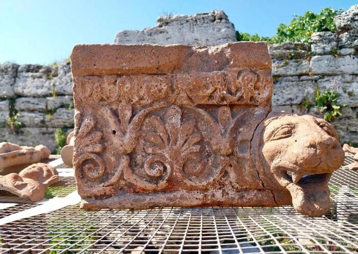 scoperte paestum