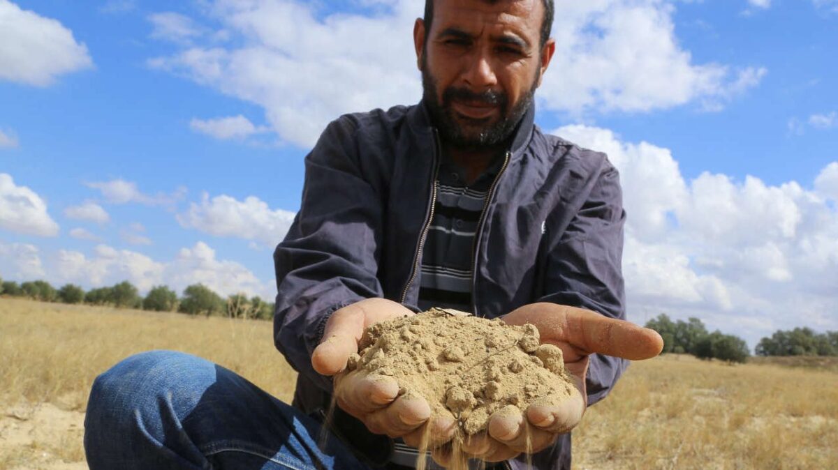 siccità in Tunisia: "quest'anno il raccolto di cereali sarà catastrofico"