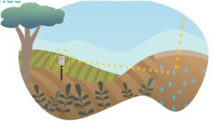 sonda siccità finapp
