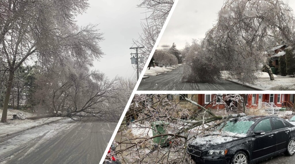 tempesta canada