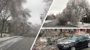 tempesta canada