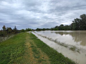 Tracimazione del fiume Lamone, zona Boncellino (Ravenna)