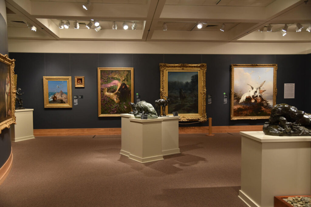 Wildlife Art Museum dell'Australia - arte ispirata alla fauna selvatica